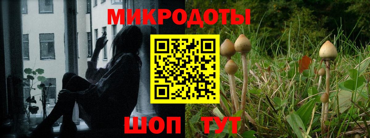 Псилоцибиновые грибы Psilocybine cubensis  Вход с VPN  Галлюциногенные грибы MAGIC MUSHROOMS  Полысаево 