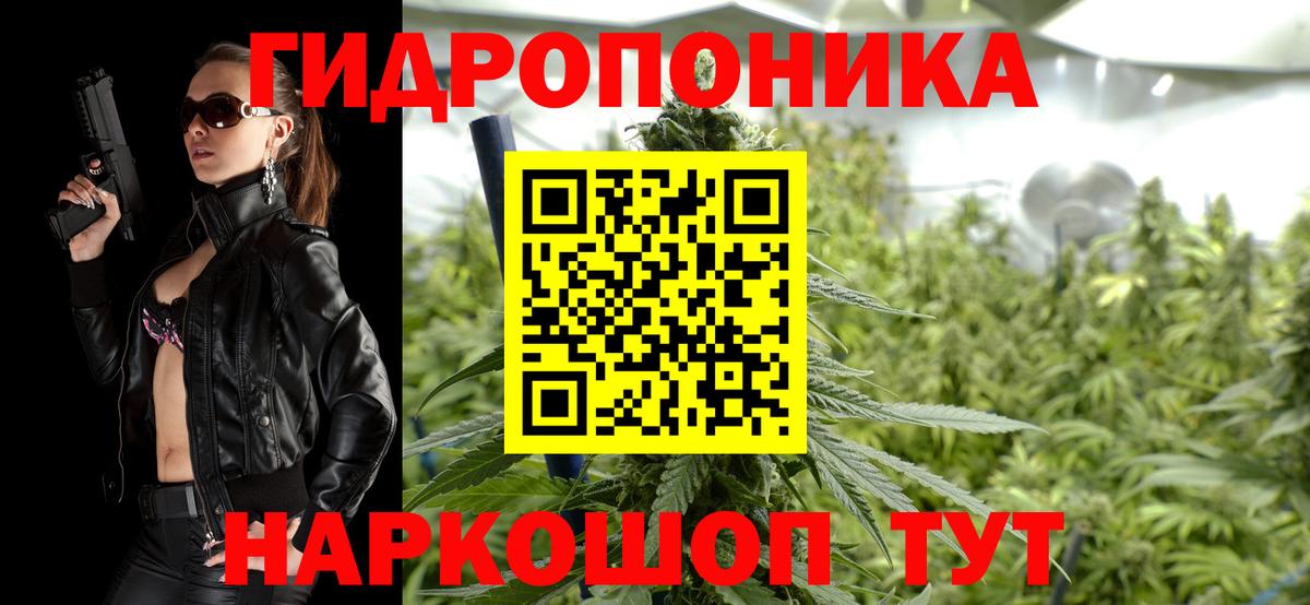 Конопля планчик  Вход с VPN  МАРИХУАНА SATIVA & INDICA  Бошки Шишки марихуана  Полысаево 